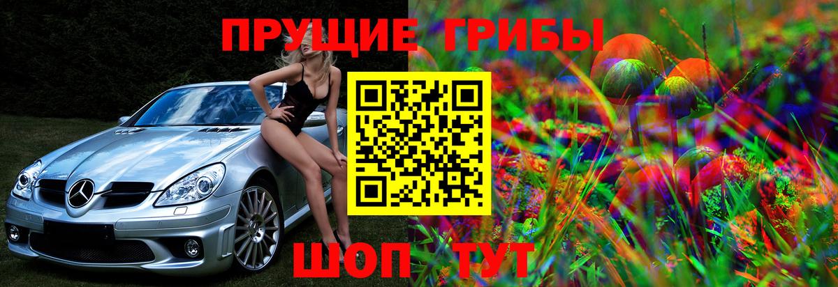 Юрга  Галлюциногенные грибы Cubensis  сколько стоит  Вход с VPN  Псилоцибиновые грибы MAGIC MUSHROOMS 